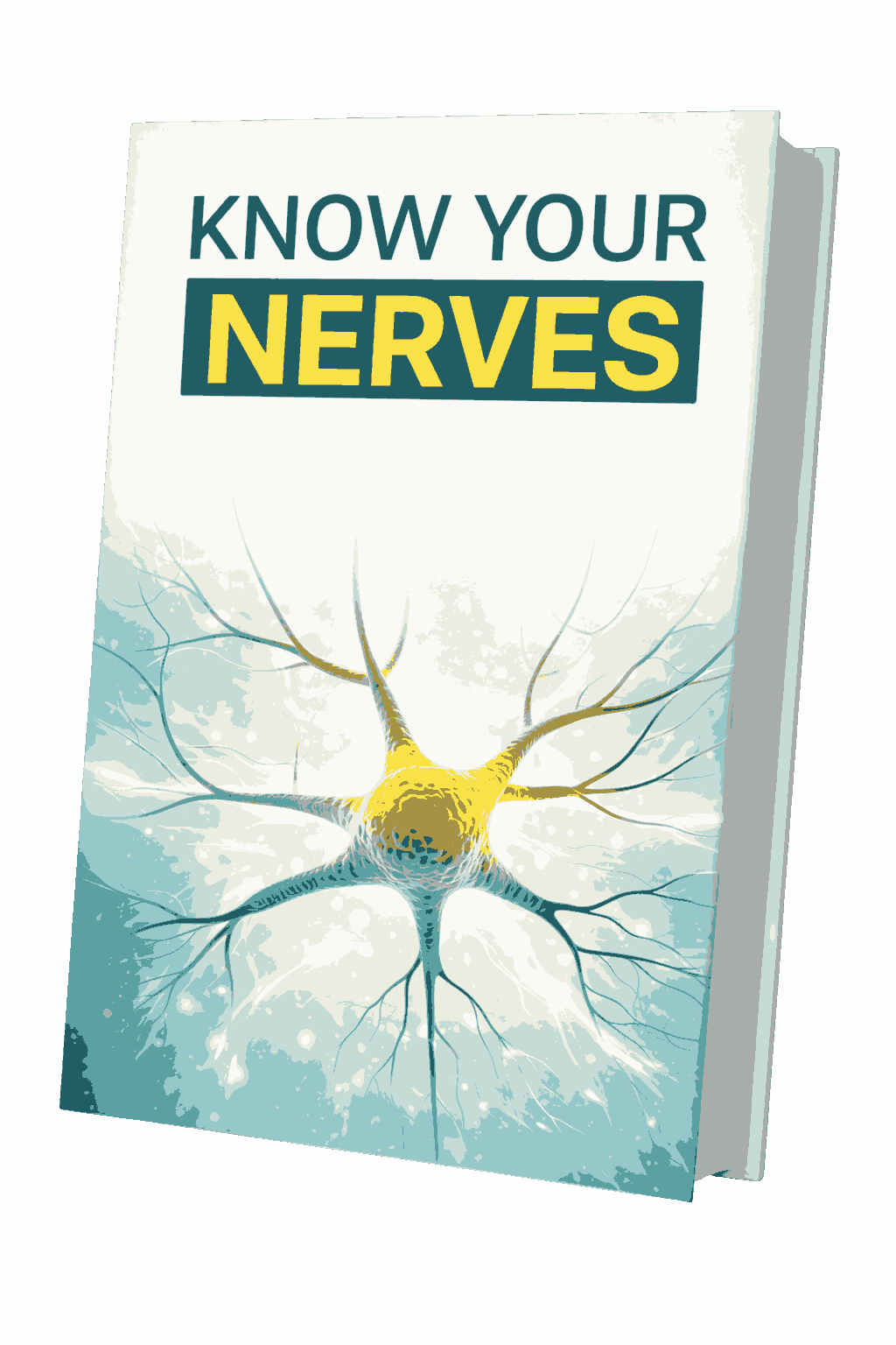 NerveCell Bonus 2